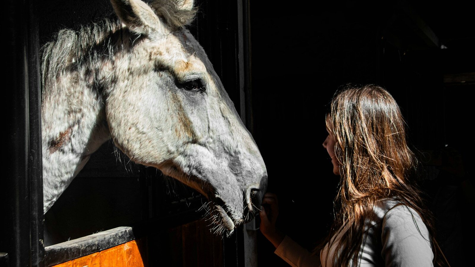 A woman interacts with a horse.
