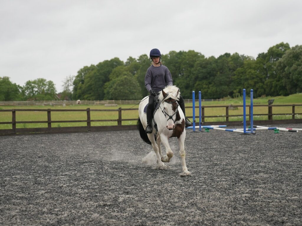 A person riding on the back of a white horse