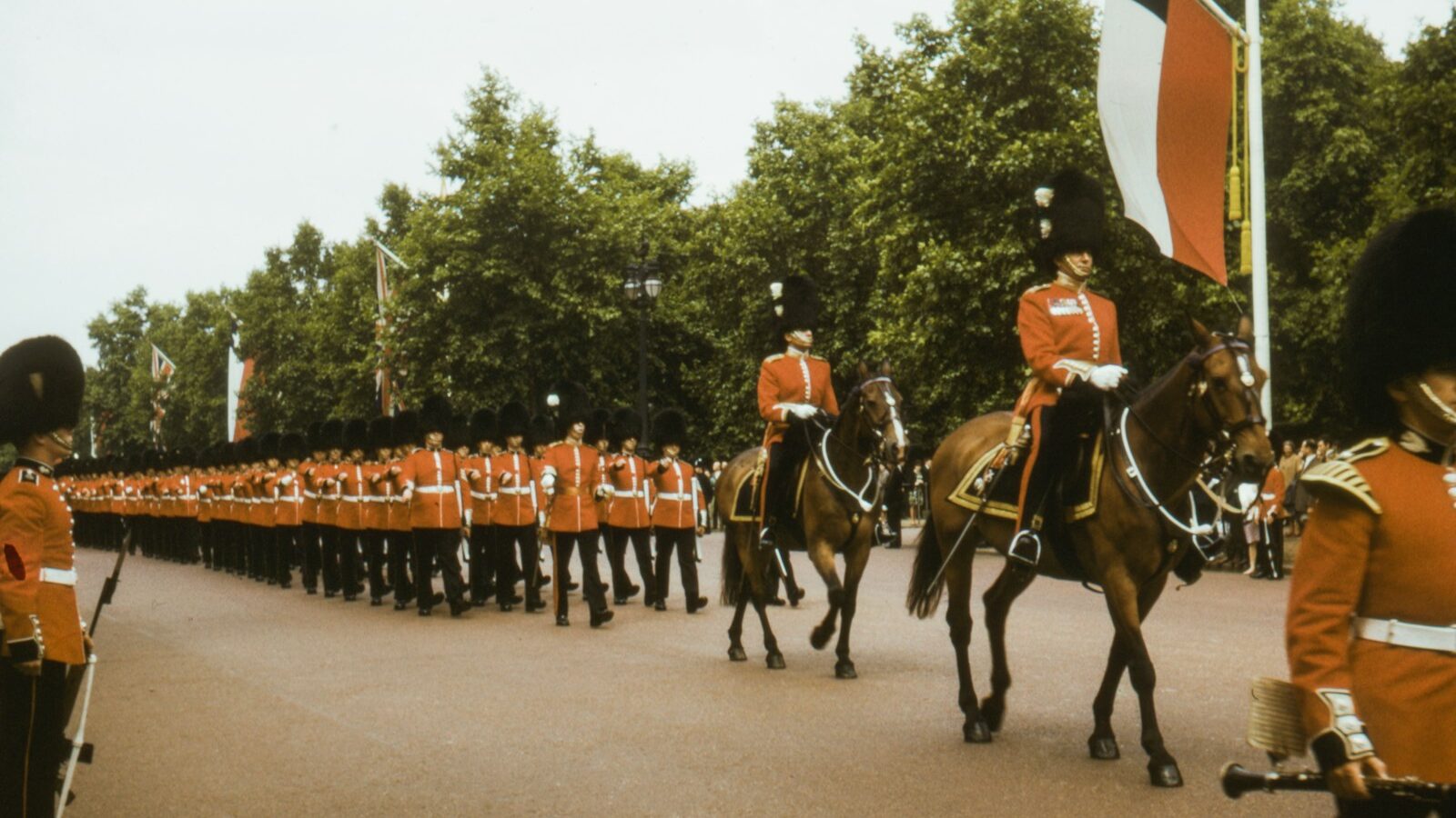 people in red and black uniform riding horses during daytime