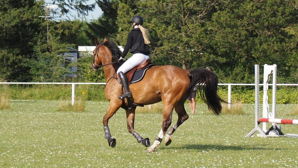 A person riding a horse in a field