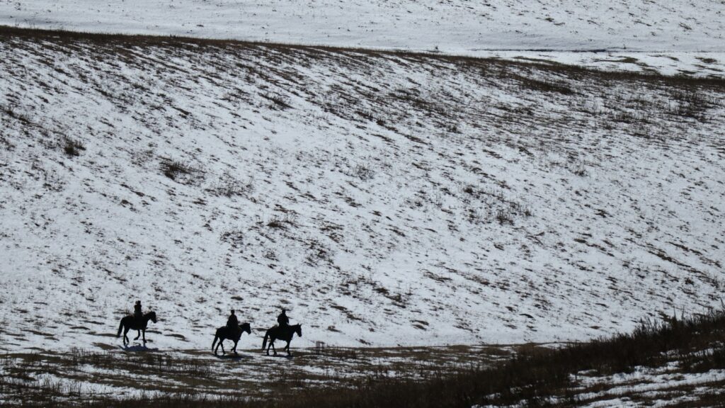 a group of people riding horses on a beach
