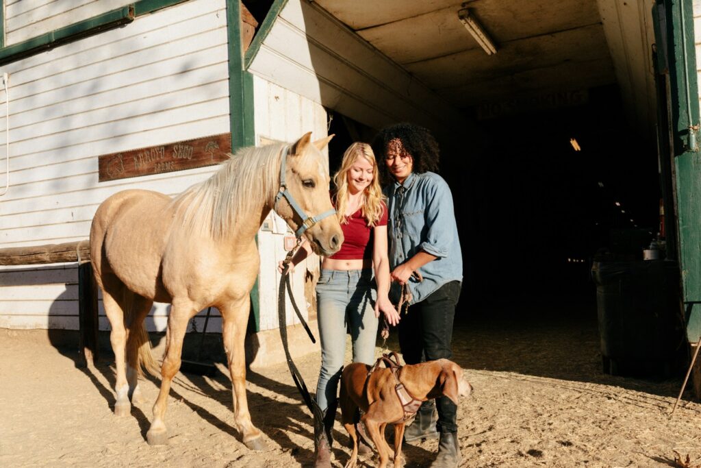 People standing beside brown horse during daytime
