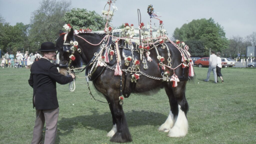 man standing beside black horse