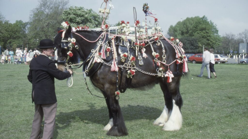 man standing beside black horse