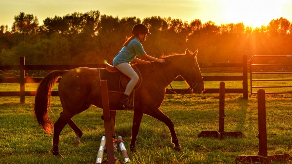 girl riding horse near ramps during sunset