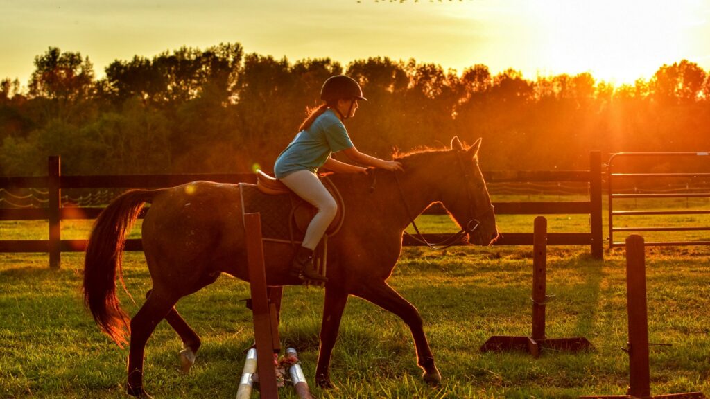 girl riding horse near ramps during sunset