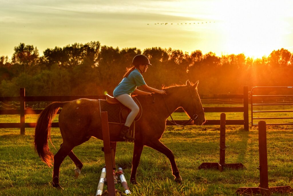 Girl riding horse near ramps during sunset