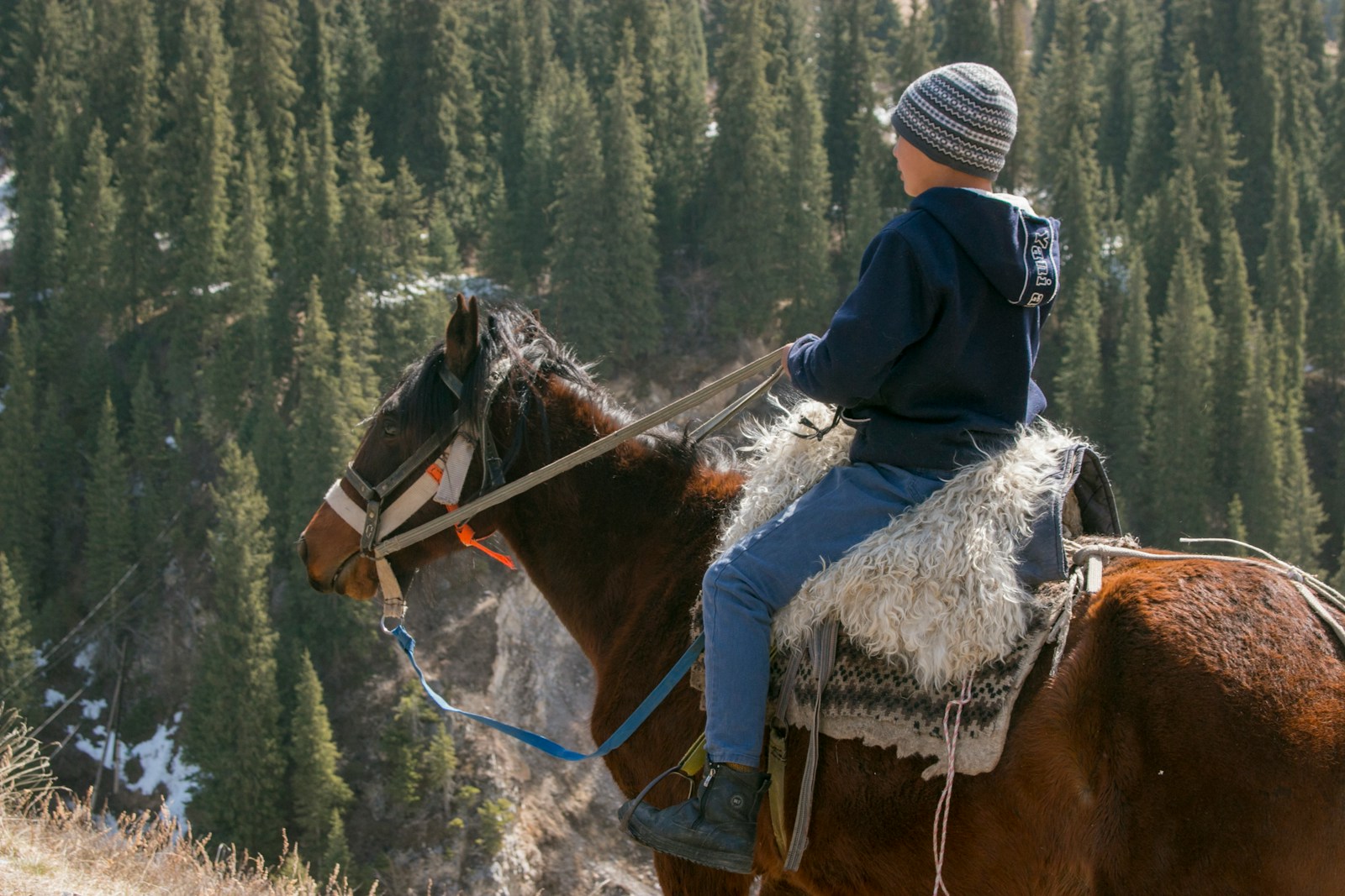 Boy riding a horse at kolsai lake, Kazakhstan