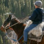 person riding brown horse
