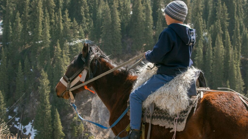 person riding brown horse