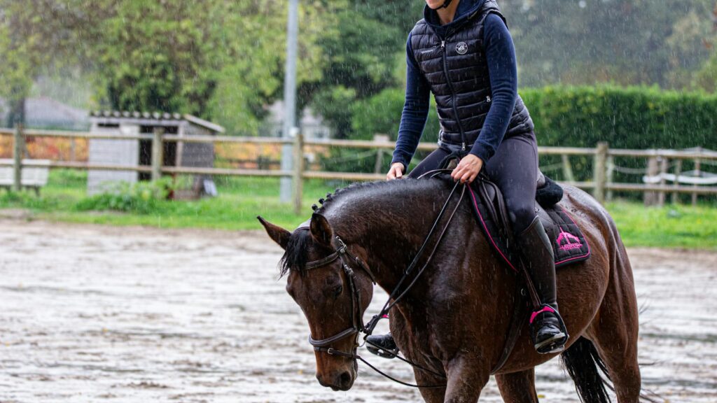 man riding horse during daytime