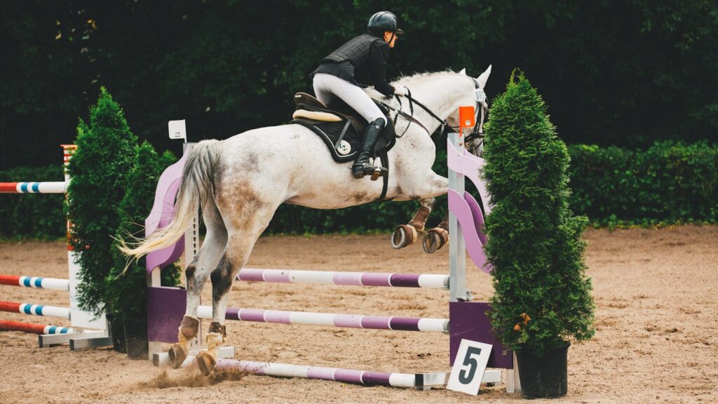 man riding a white horse