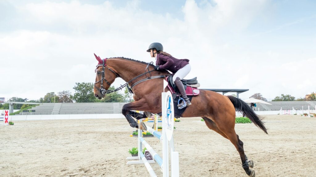man riding brown horse during daytime