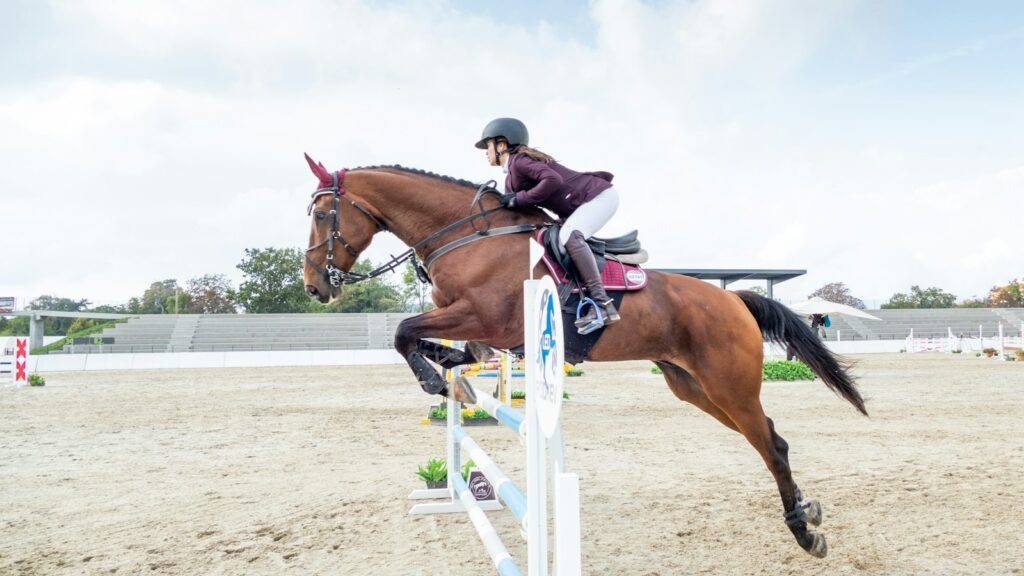 man riding brown horse during daytime