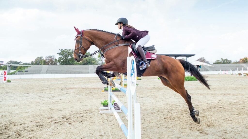 man riding brown horse during daytime