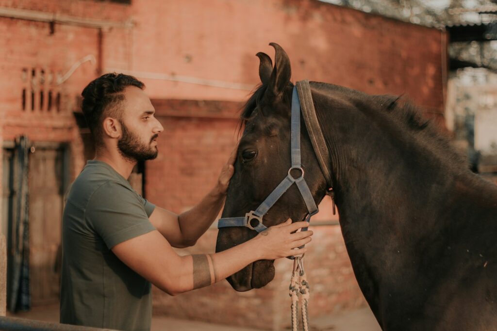 Man in green and brown camouflage shirt holding brown horse