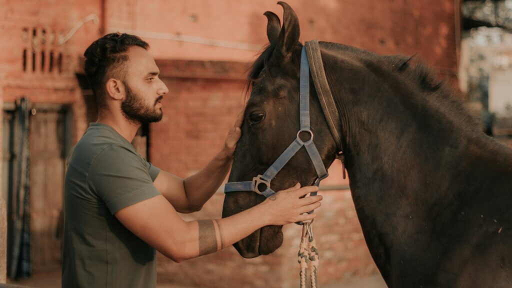 man in green and brown camouflage shirt holding brown horse