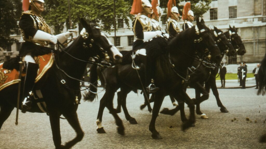 people riding horses during daytime