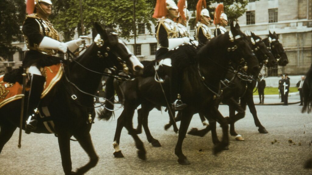 people riding horses during daytime