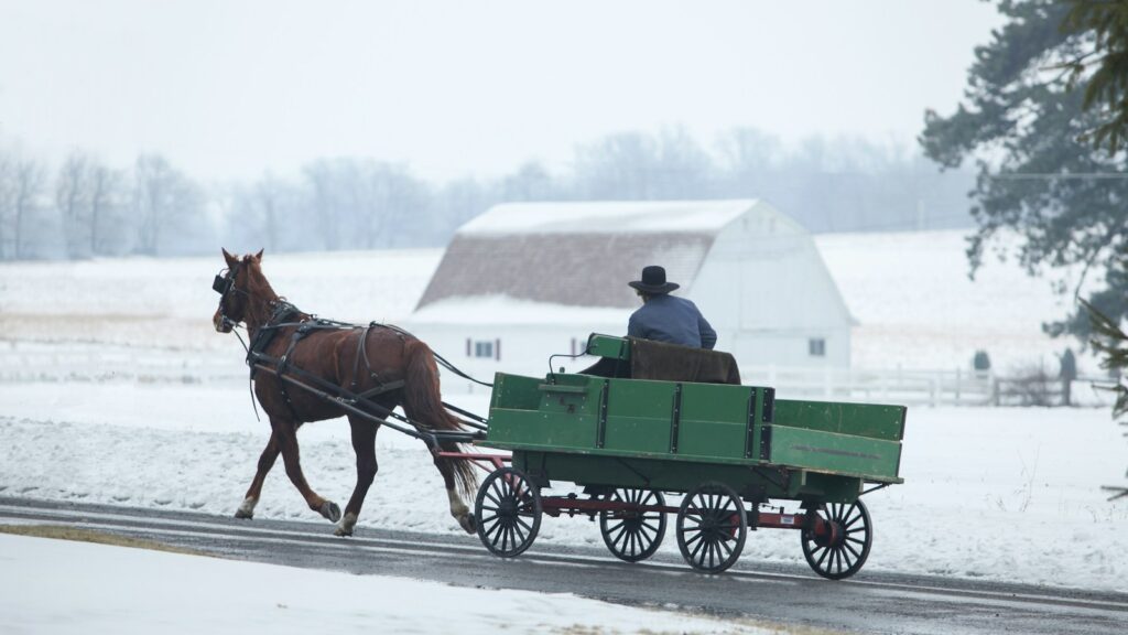 man riding horse carriage on road during snow season