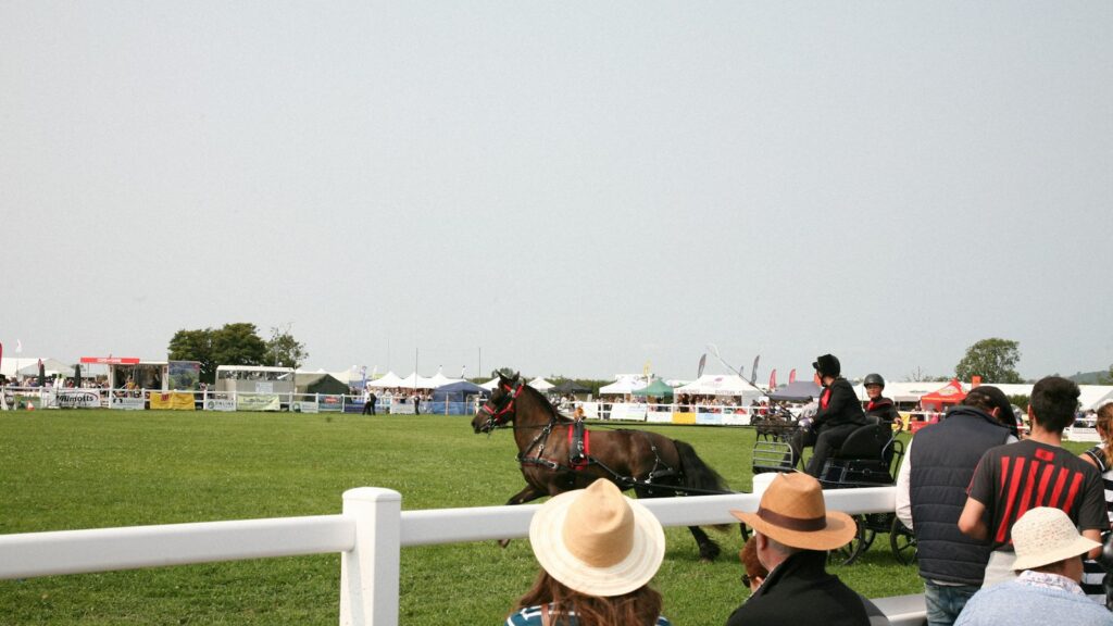 A group of people watching a horse race