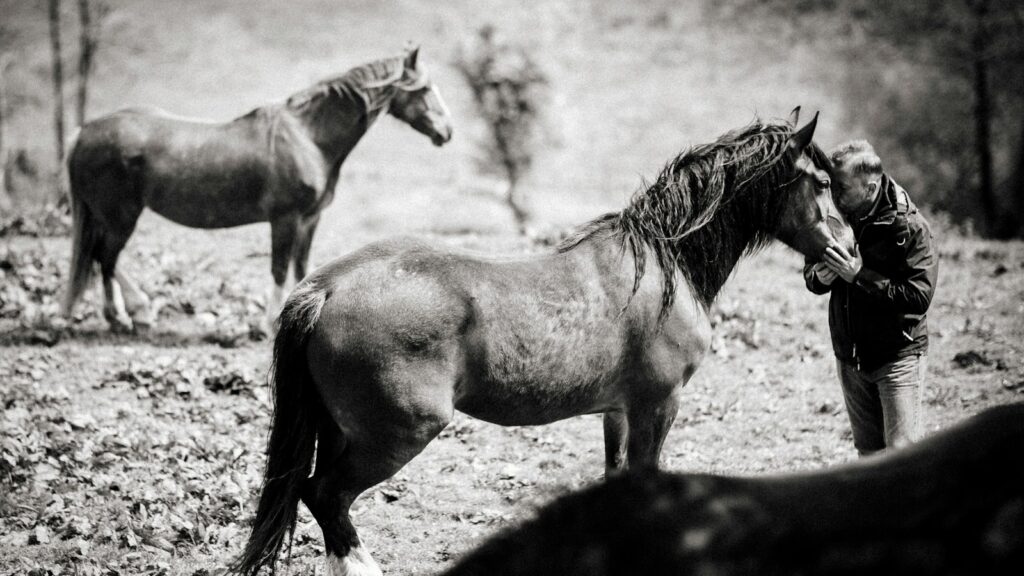 grayscale photo of man kissing horse