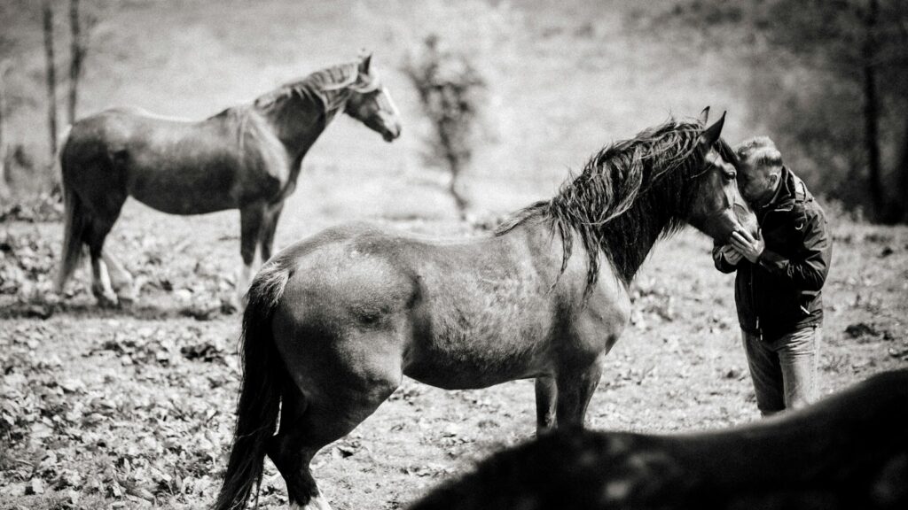 grayscale photo of man kissing horse