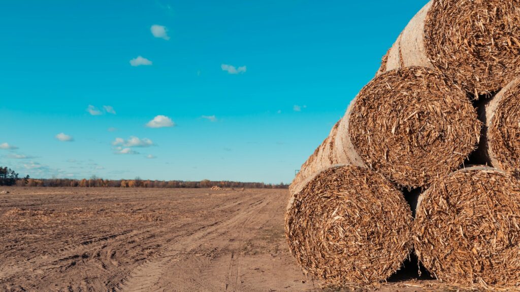pile of brown hay bales