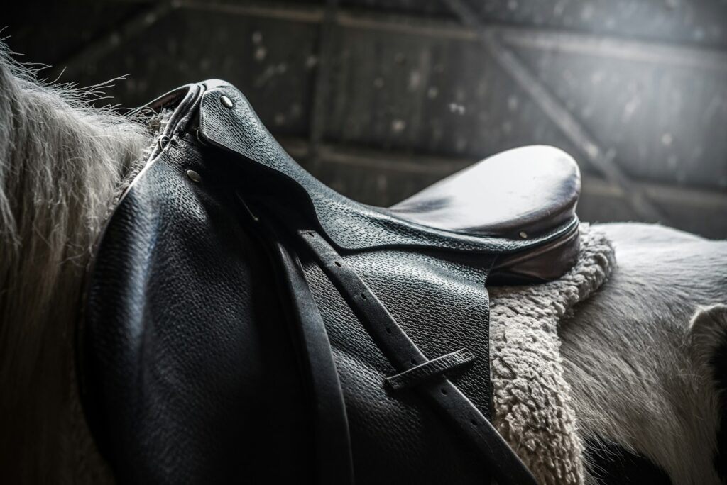 Horse with black leather saddle