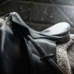 Horse with black leather saddle