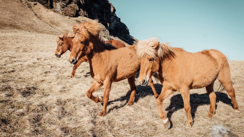three tan running horses near rocky mountain during daytime