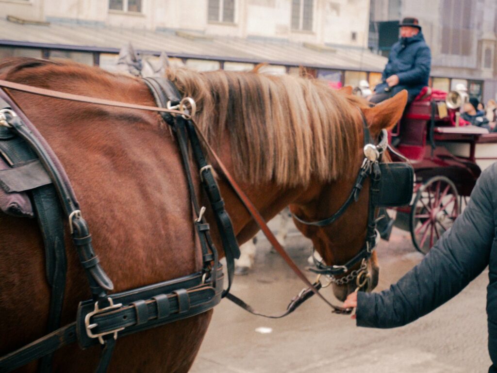 A woman is petting a horse on the street