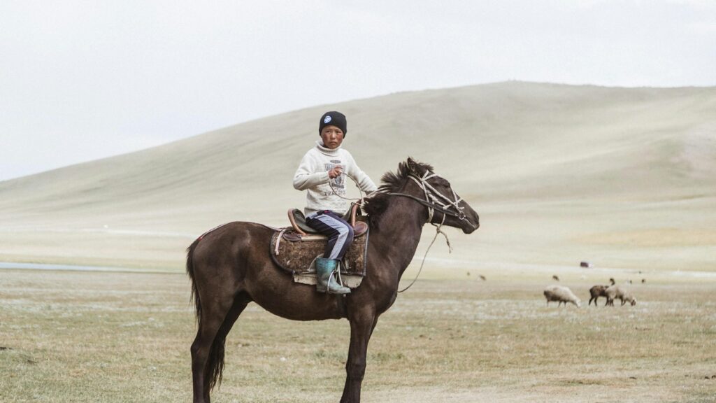 boy in white jacket riding on brown horse