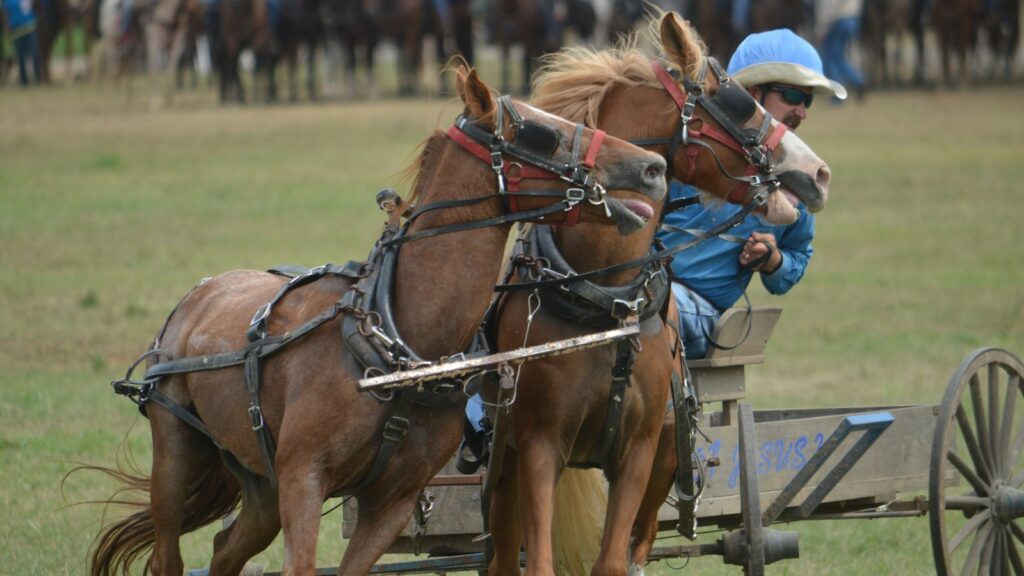 man riding two horses