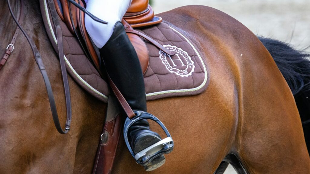 person in white cowboy hat riding brown horse during daytime