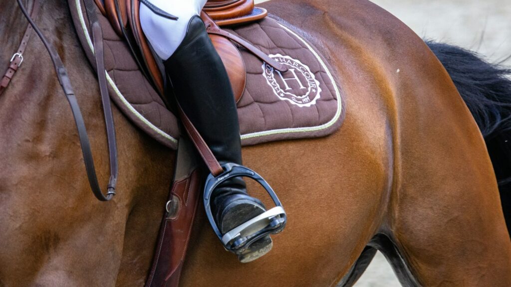 person in white cowboy hat riding brown horse during daytime