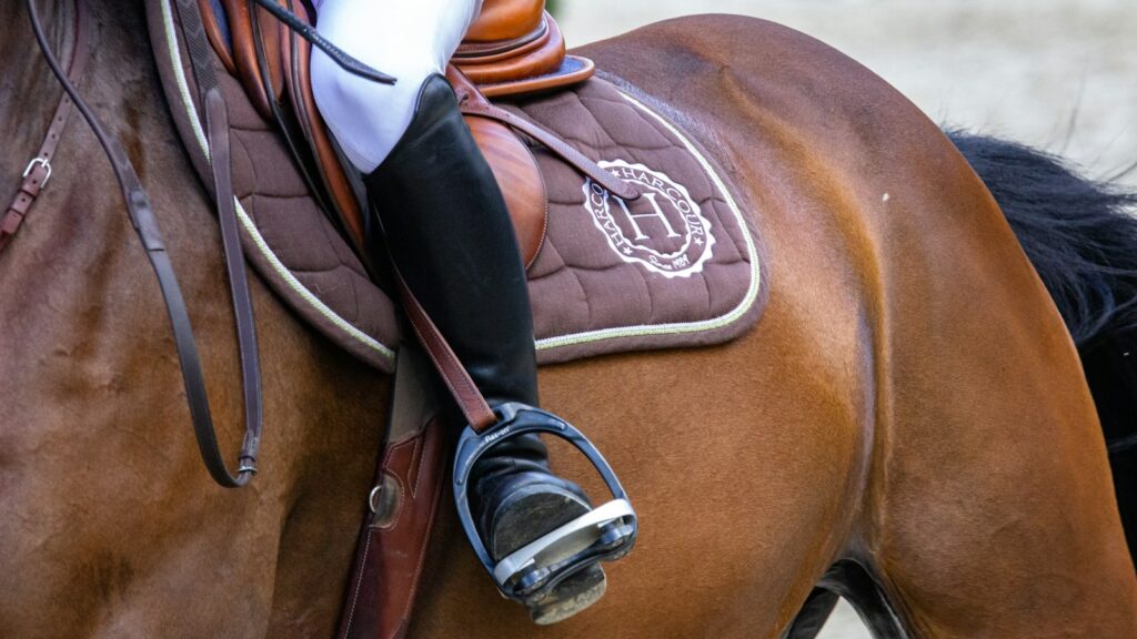 person in white cowboy hat riding brown horse during daytime