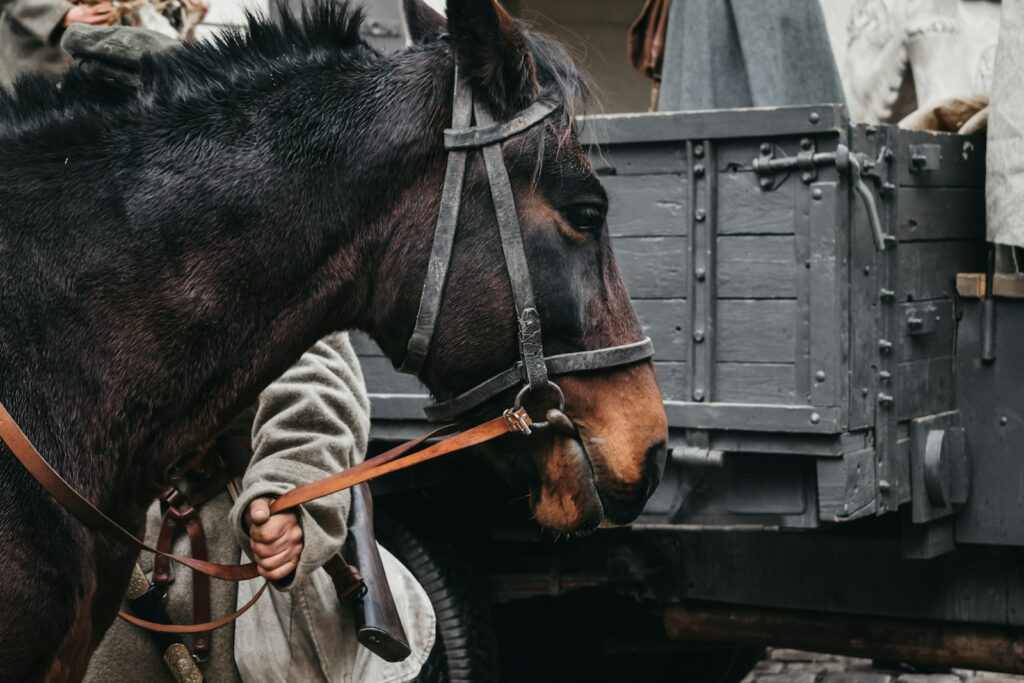 Brown horse near gray wooden cart