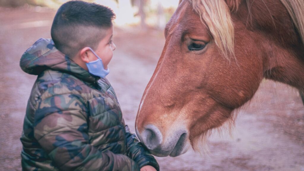 man in black and green camouflage jacket beside brown horse during daytime
