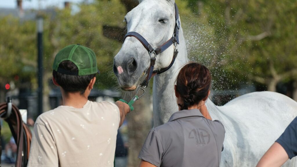 a white horse being sprayed by two people