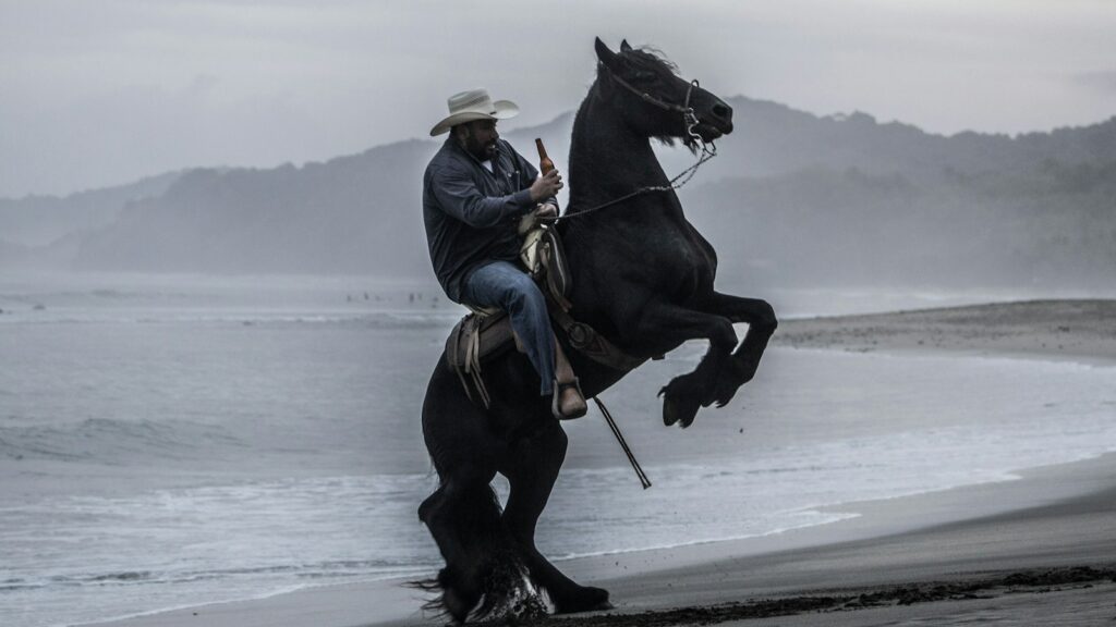man riding black horse near by seashore