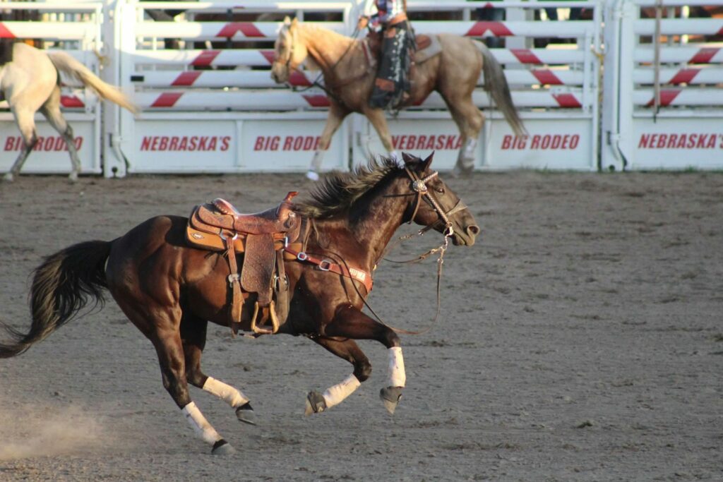 Man in white shirt riding brown horse during daytime