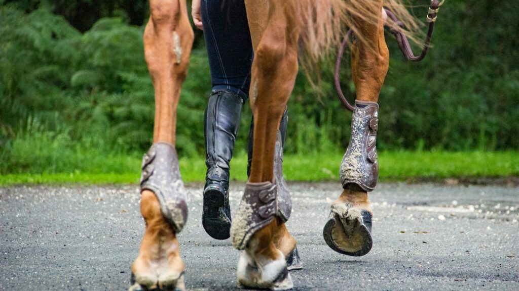 person in black pants and black shoes riding brown horse during daytime