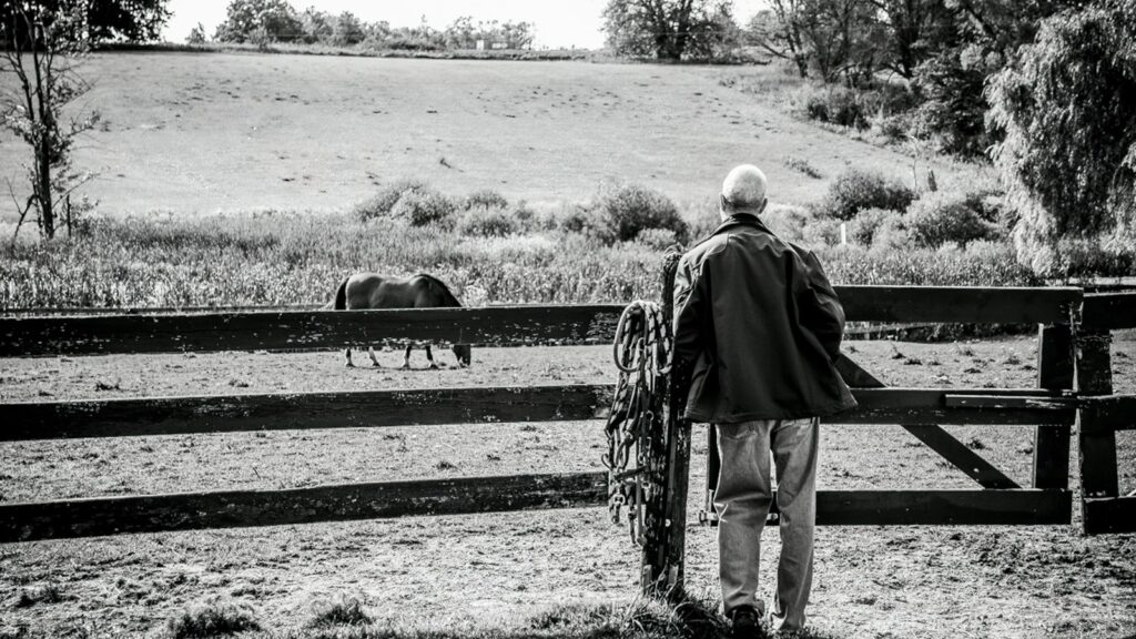 a man looking at a horse
