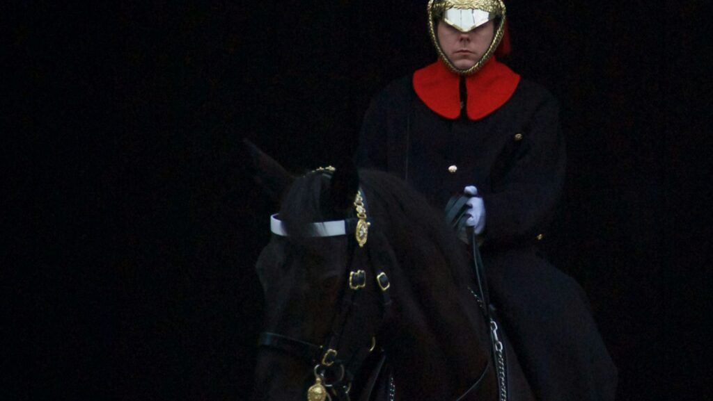 man riding on black horse