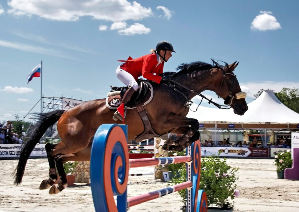 Brown horse with red and white helmet riding on brown horse during daytime