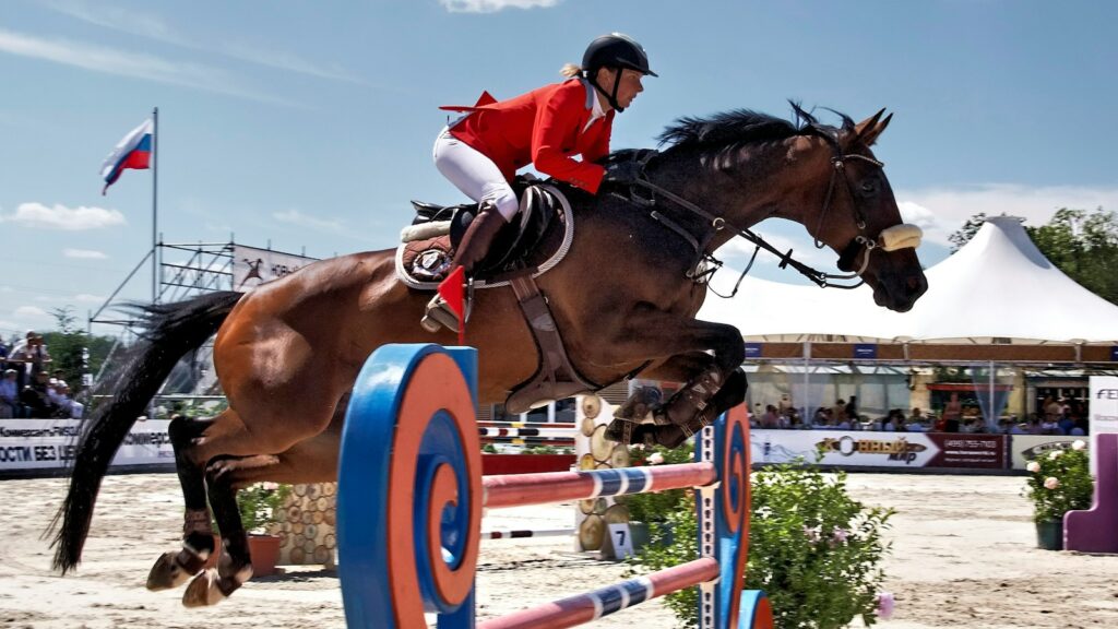 brown horse with red and white helmet riding on brown horse during daytime