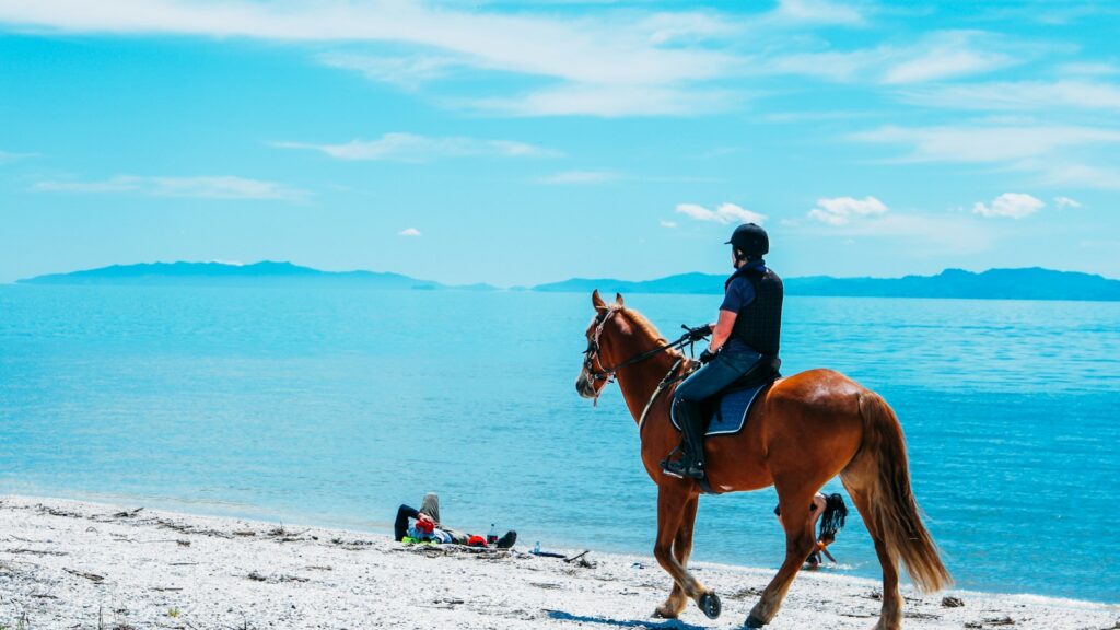 man riding on brown horse during daytime