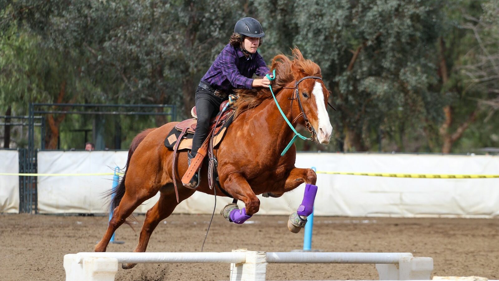 person in black jacket riding brown horse during daytime