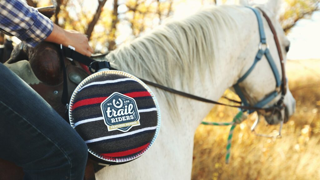 person riding white horse